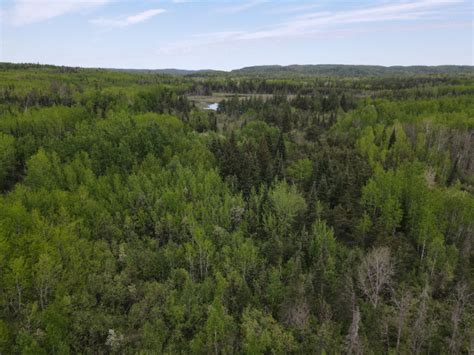 as well it sits on Alpine Lake which is a very rare sand bottom lake giving it a beautiful emerald green colour, as well Alpine lake connects to other. . Kijiji unorganized land ontario